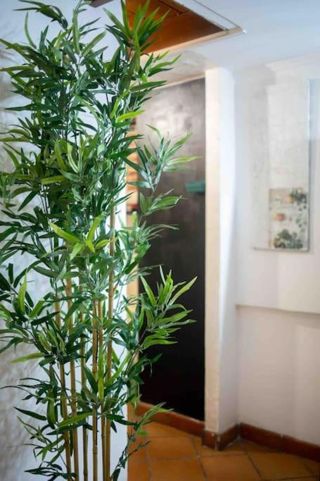 Appartamento Via Dei Cestari Loft Roma Esterno foto